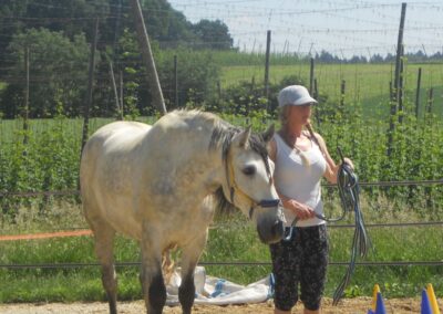 Melanie Preuß Pferdetraining – Führtraining und Vertrauen zwischen Mensch und Pferd in Bayern