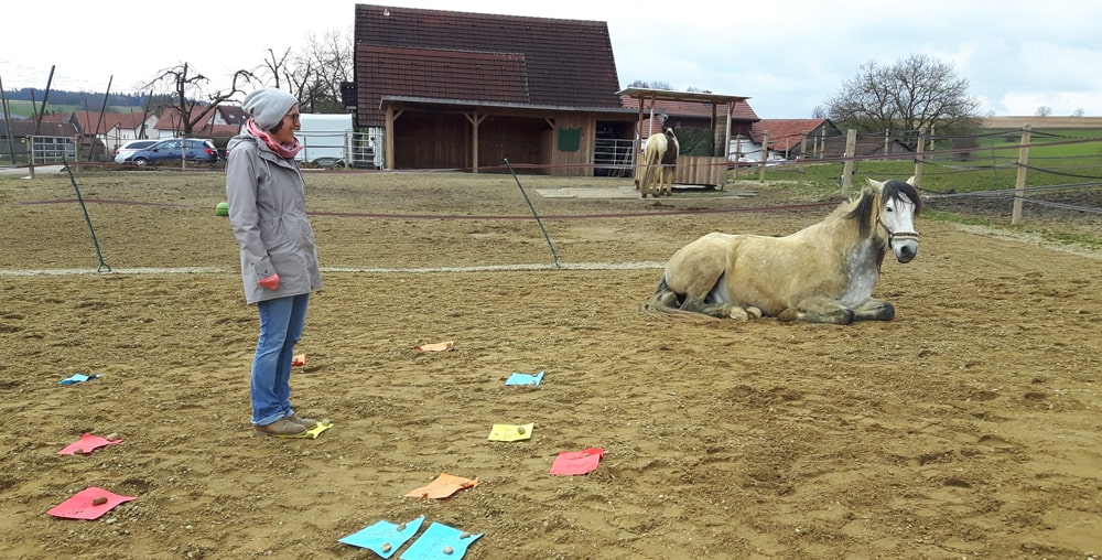 Melanie-Preuß-Pferdetraining-Mentalcoaching-Pferdegestütztes-Coaching-Bayern-Landshut-1-min