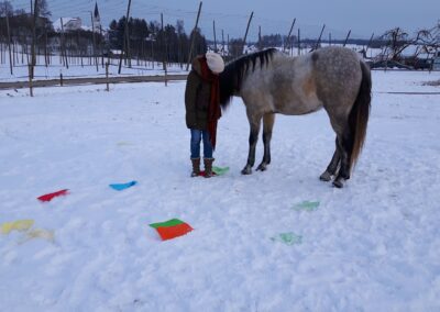 Pferdegestütztes Coaching mit Valenciano – ein echter Moment der Verbindung bei einer Aufstellung im Schnee