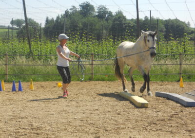 Valenciano geht konzentriert und gelassen durch eine Bodengasse – präzise Bodenarbeit mit Fokus, Vertrauen und klarer Kommunikation
