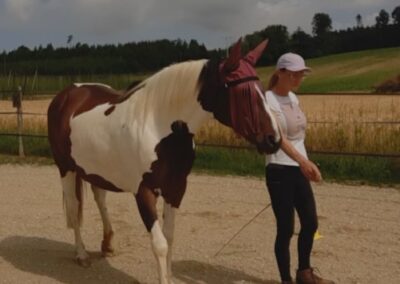 Melanie Preuß mit ihrer Stute Lotti in der Freiarbeit – synchron in Bewegung, voller Vertrauen und Harmonie