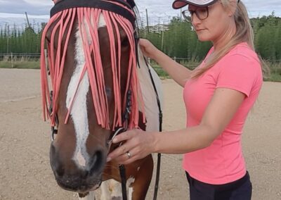 Melanie Preuß führt mit ihrer Stute Lotti seitliche Abkauübungen durch – sanftes Training zur Lockerung der Kaumuskulatur und Förderung von Entspannung
