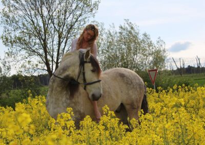 Melanie Preuß reitet ohne Sattel auf Valenciano im blühenden Rapsfeld – Harmonie, Vertrauen und tiefe Verbundenheit zwischen Mensch und Pferd