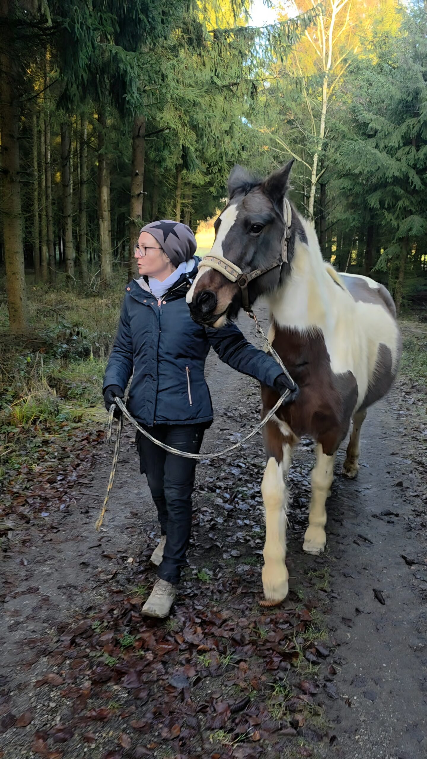 YouTube Melanie Preuß Pferdetraining