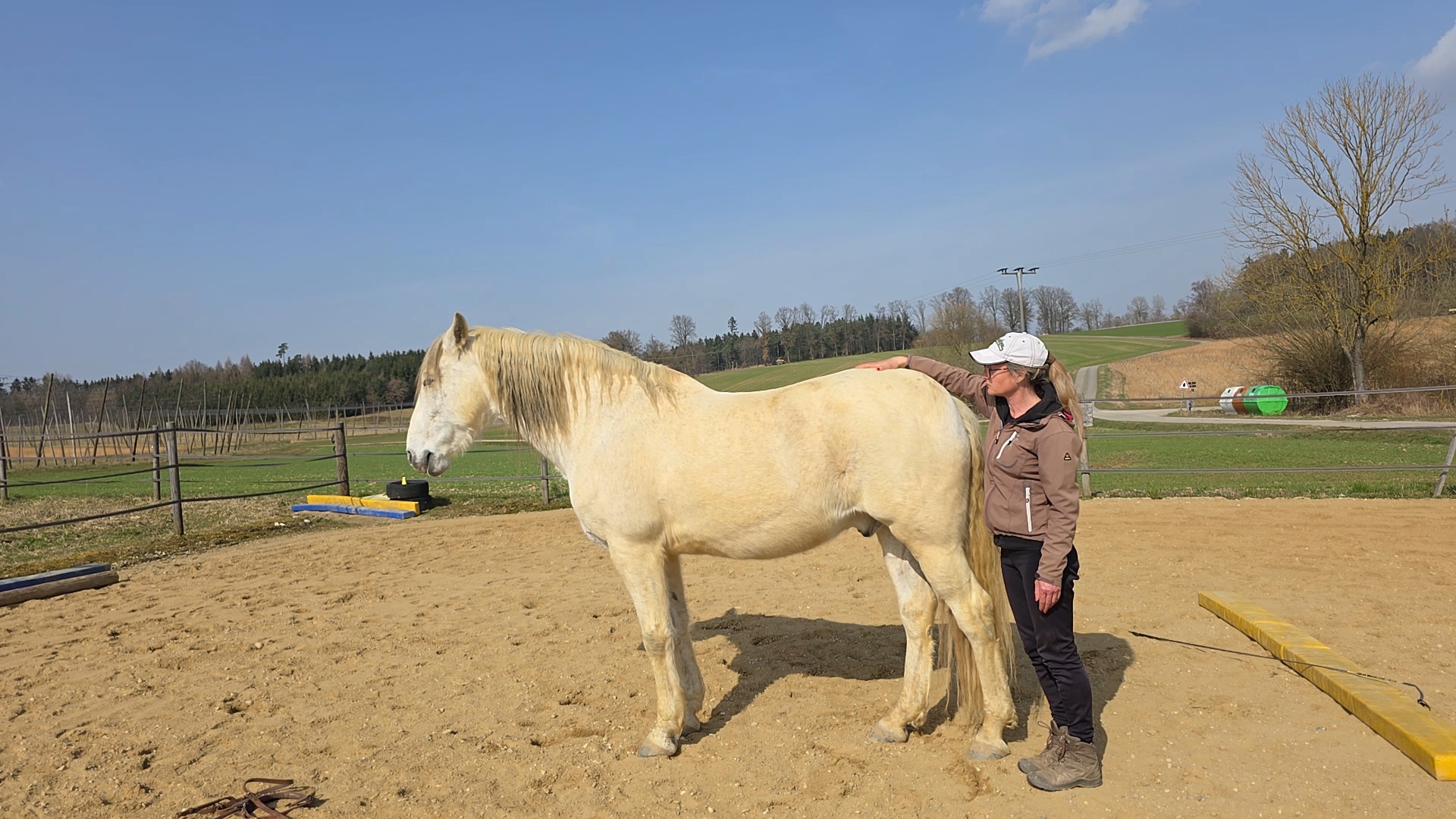 Gesundheit entsteht im Zusammenspiel Hand auf Valenciano Pferde lesen besser verstehen Zusammenhänge<br />
