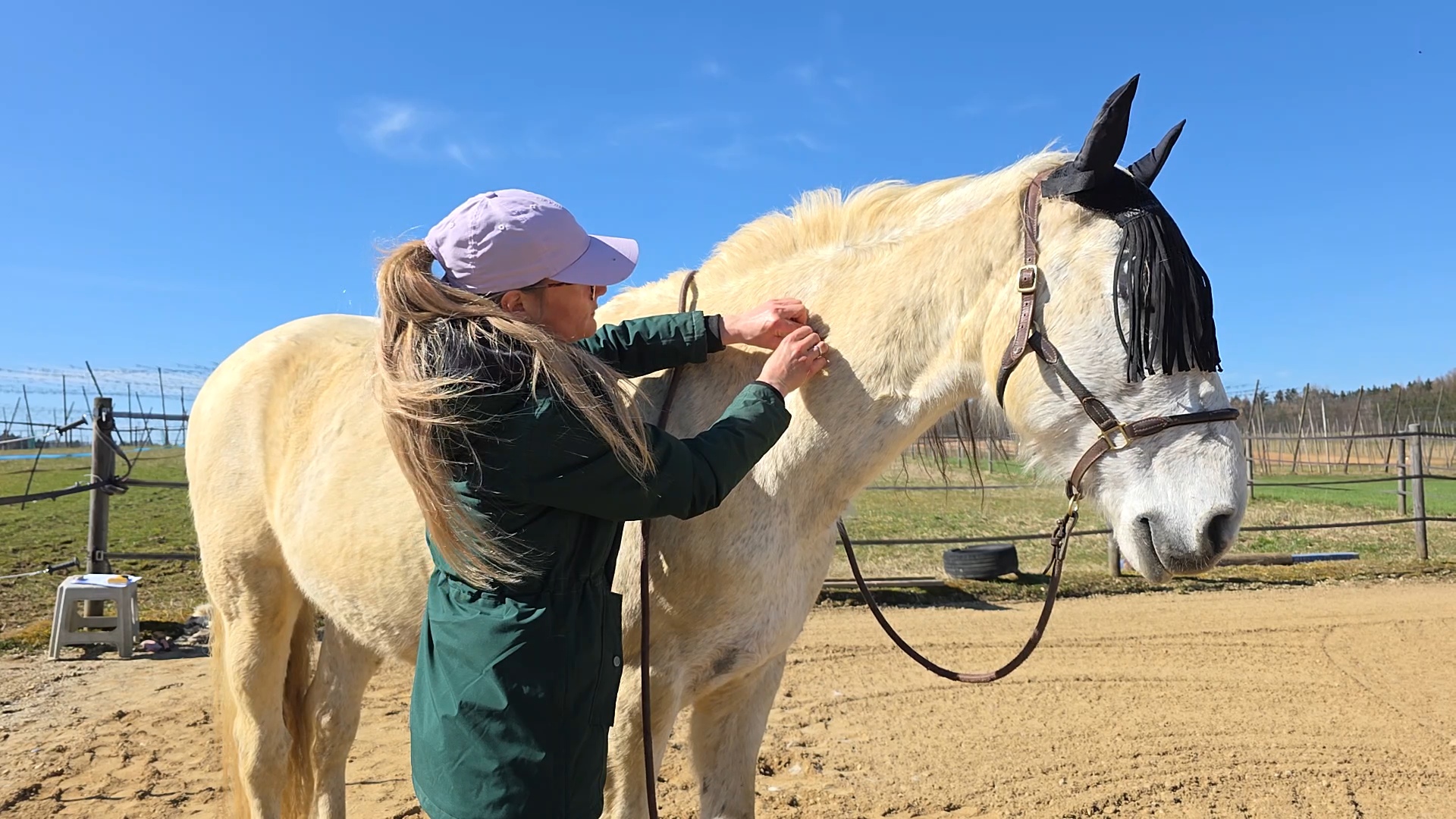 Körperarbeit, Faszien und Spannungen Pferd erkennen und gezielt unterstützen
